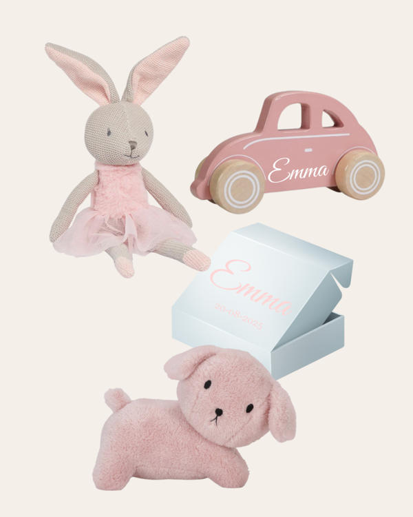 Geschenkset accessoires | Bunny Nola | Hondje Pink | Auto Hout FCS Pink