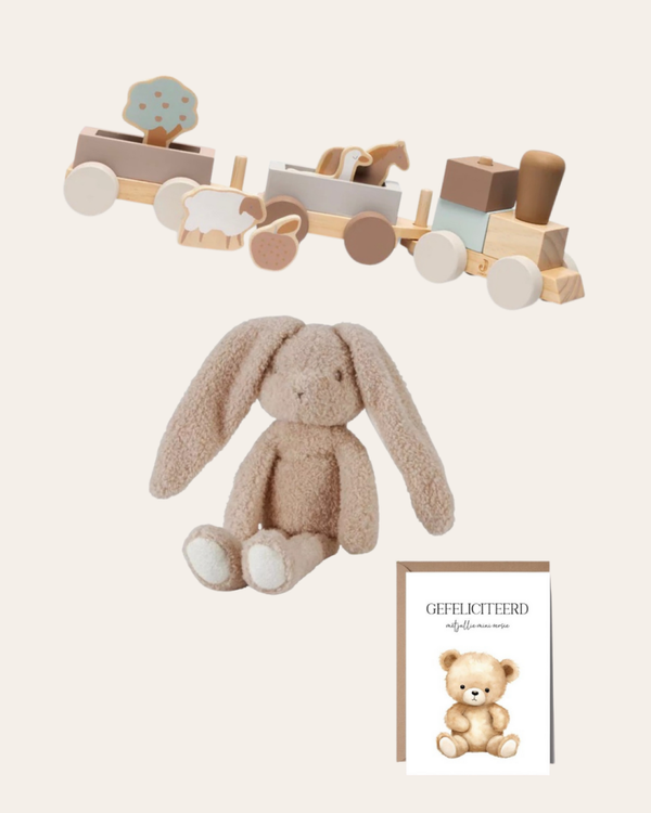 Geschenkset | Trein Jollein | Baby Bunny Knuffel | Kaart Miniversie
