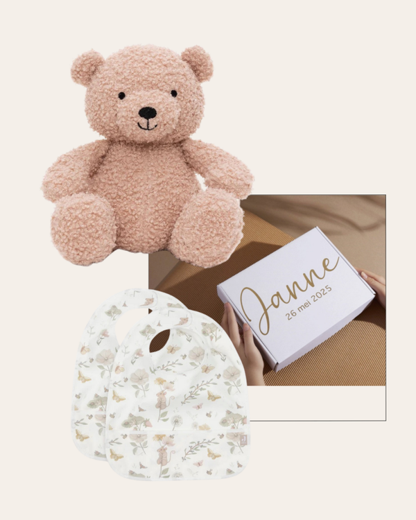 Geschenkset | Teddy Bear | Waterproof Slabbetjes | Dreamy Mouse