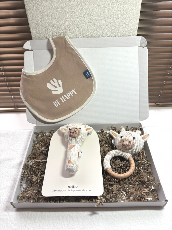 Brievenbuscadeau | Pakket Giraf