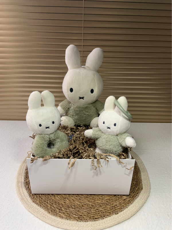 Kraamcadeaupakket | Medium | Nijntje | Yara