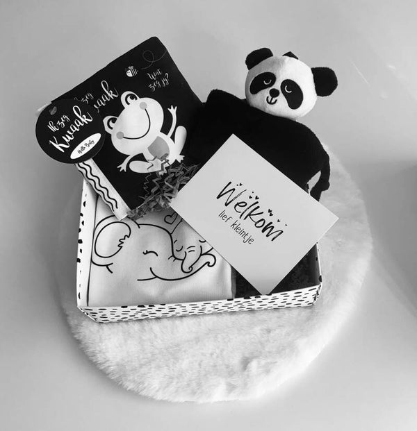 Cadeaudoos | welkom lief kleintje