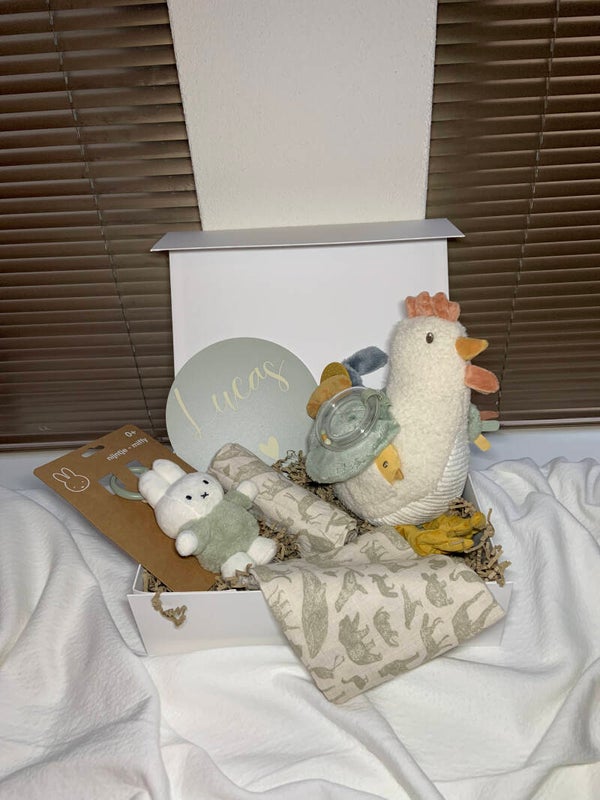 Kraamcadeaupakket | Groot | Kip | Green | Lucas