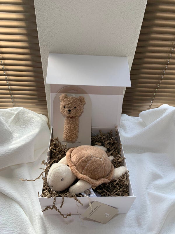 Kraamcadeaupakket | Medium | Deep Sea Turtle | Chris