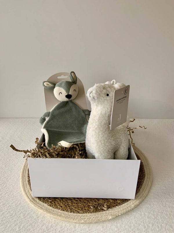 Kraamcadeaupakket | Medium | Guusje