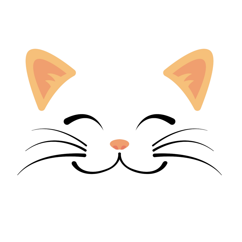 Smiley cat face colour