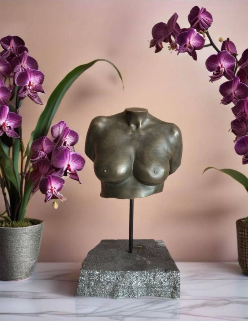 borstbeeld amputatie