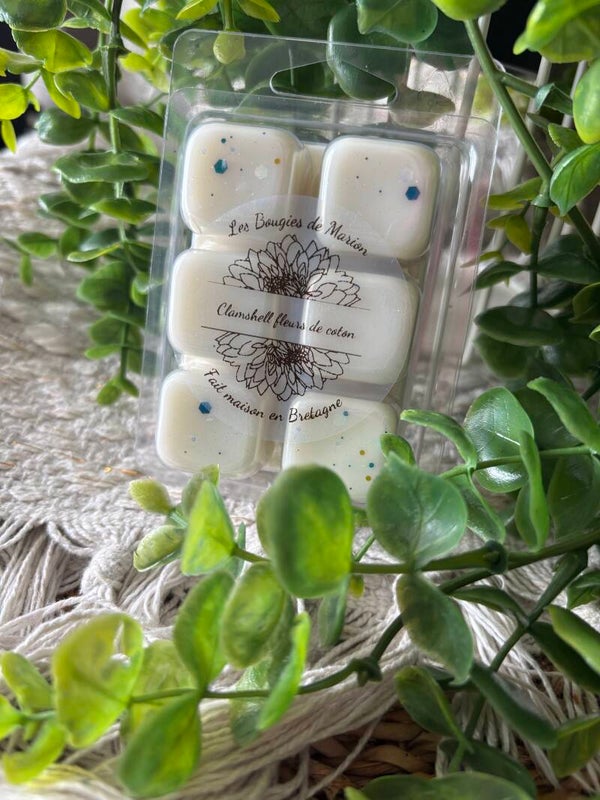 Clamshell carré Fleur de coton