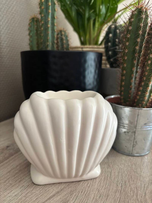 Brûleur coquillages 🐚