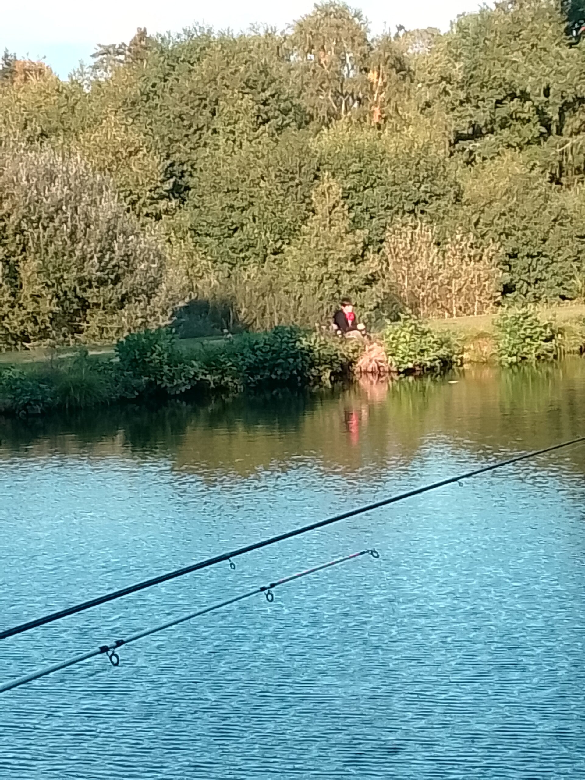 canne à pêche