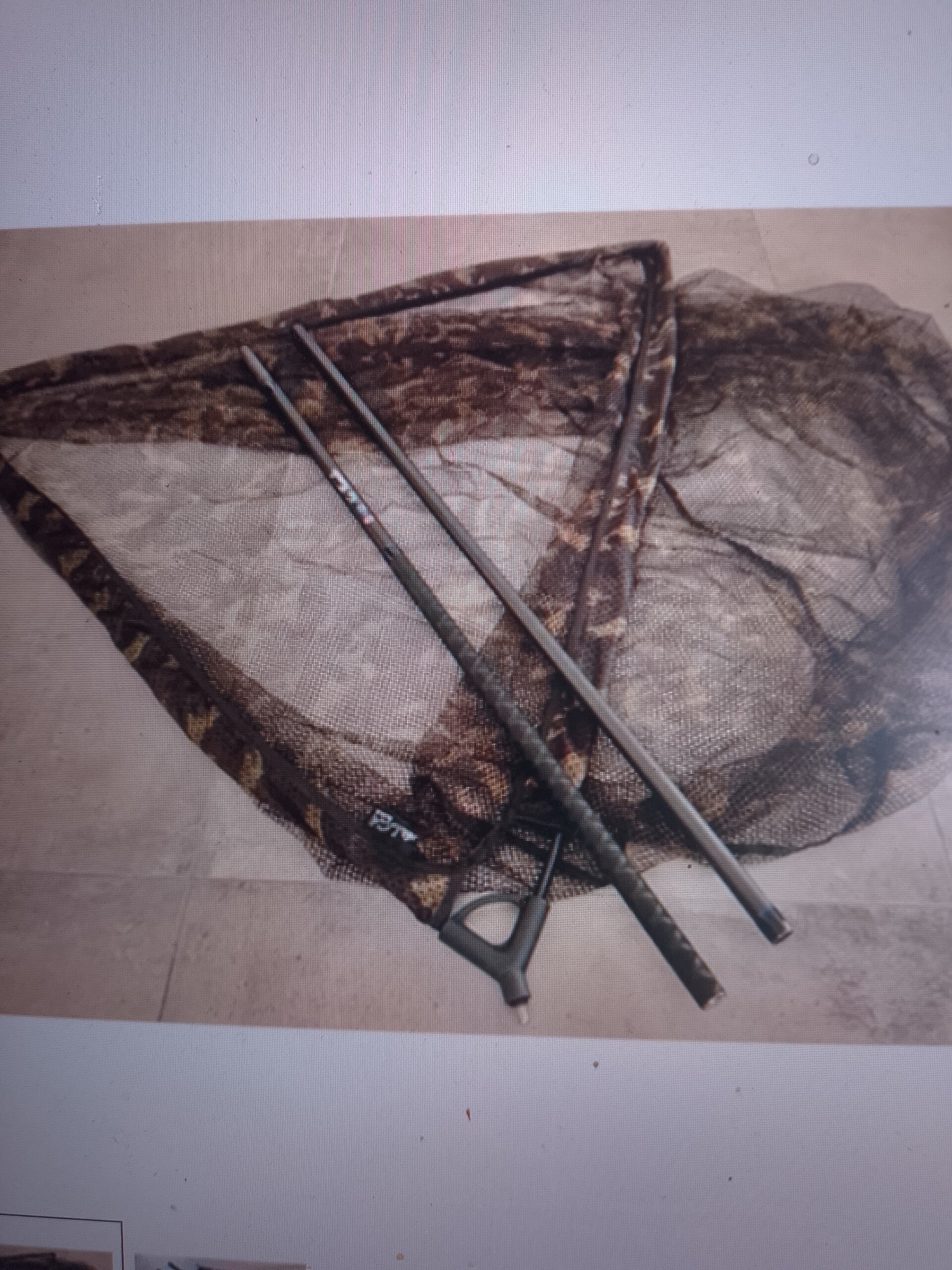EPUISETTE 42 INCH