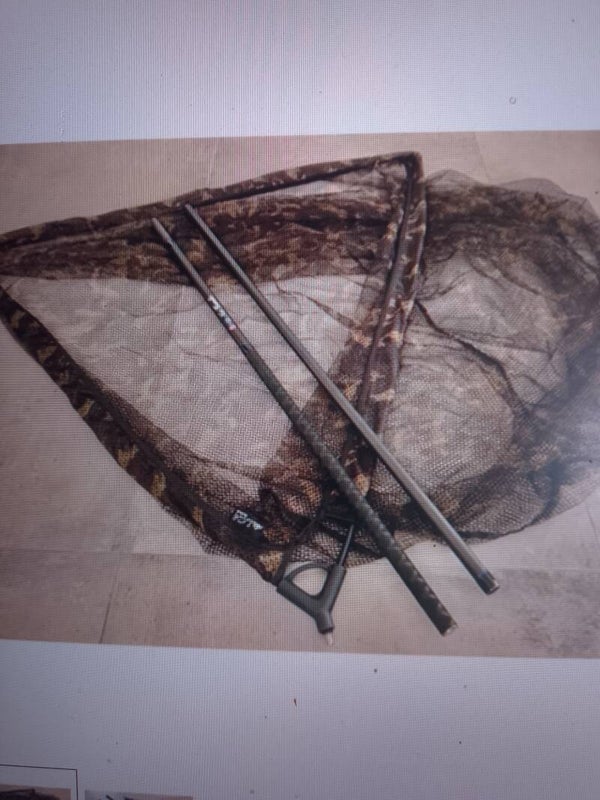 EPUISETTE 42 INCH