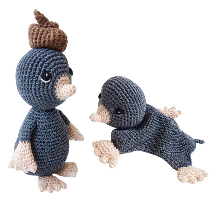 Mol met drol op zijn hoofd