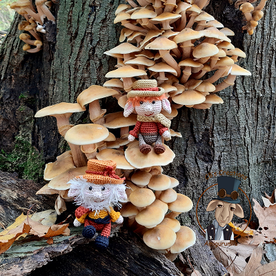 Flint en broer tussen paddenstoelen voor foto