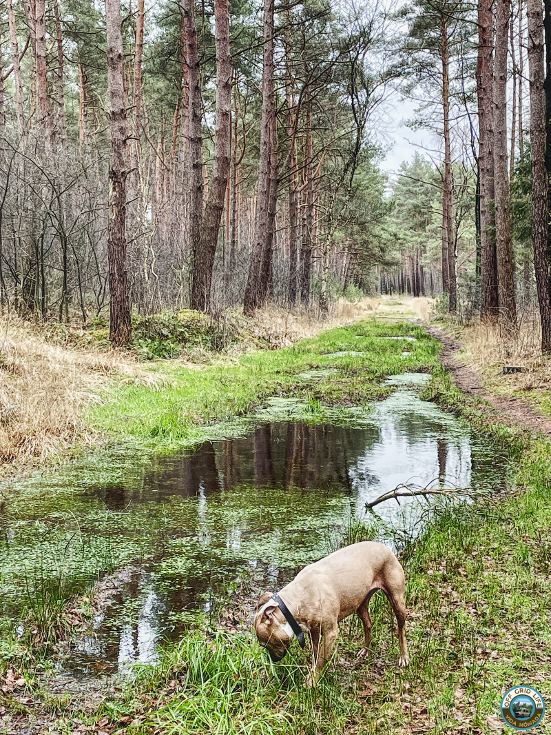 Nomadlife. Vanlife. werken en onderweg met de camper.