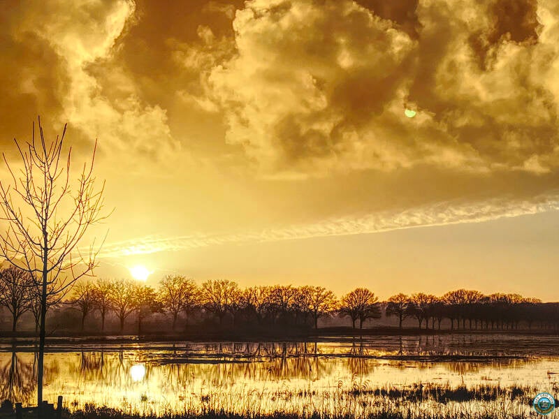 Zonsondergang Milsbeek Reichswald woud. Camperleven. Nomadlife. Trekkershut boeken. Vanlife.