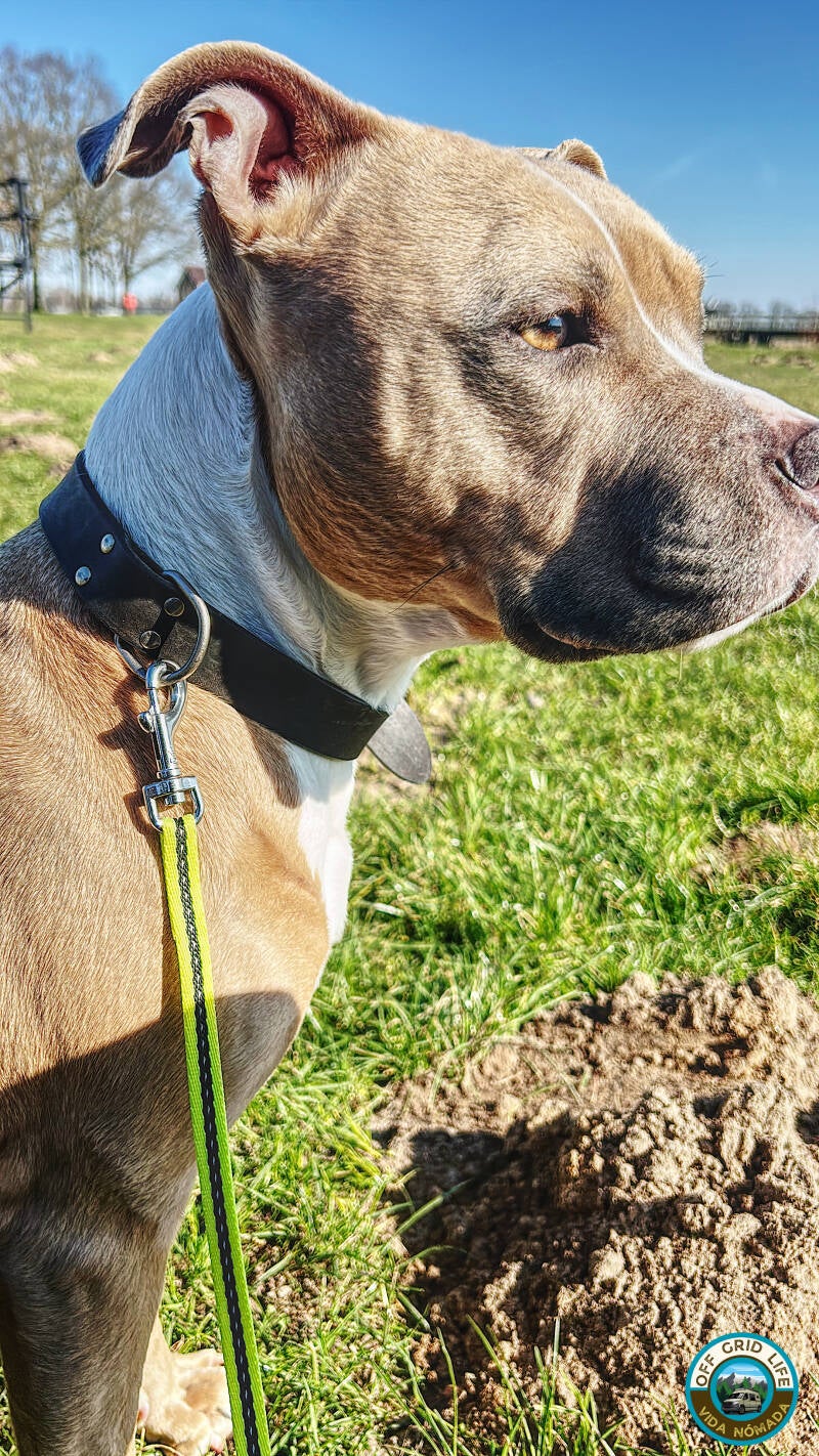 Nomadlife. Vanlife.camperleven. Wandelen in Nederland.