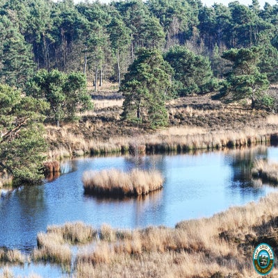 maasduinen-afferden-quin-nomadlife-standard-2qzv9s.jpg