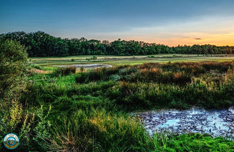 Wandelen in de natuurlijke omgeving van Afferden. 