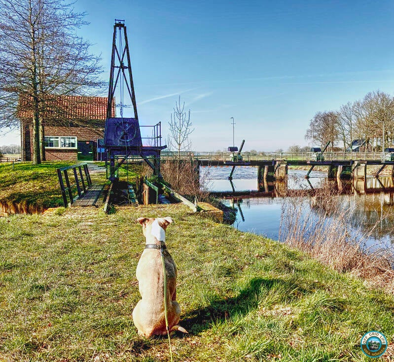 wandelen in overijssel.camperleven. nomadsich leven. ik en mijn hond.