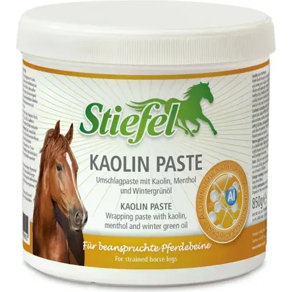 Kaolin Paste, 850 g (2717)