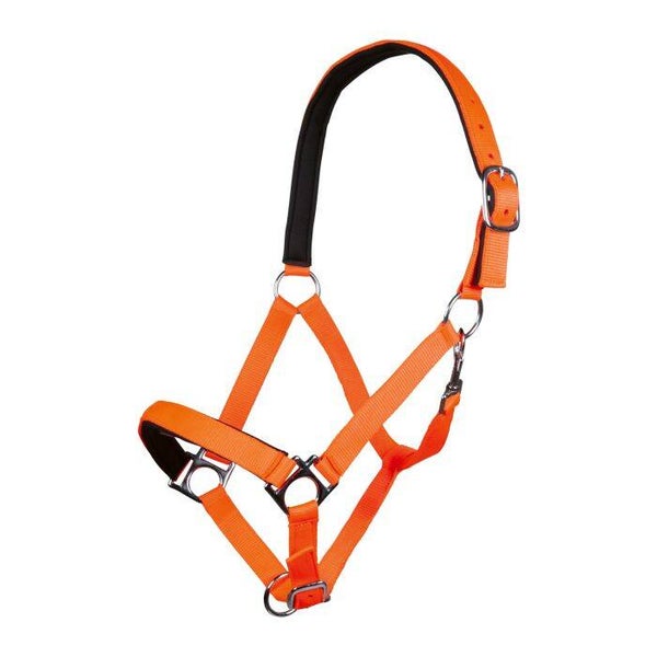Head collar -Stars Softice- with soft padding neon orang (2654)