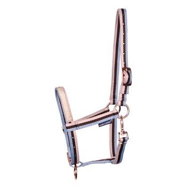 Veulenhalster babyface (2610)