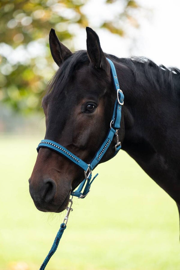 Head collar set with snap h. -Crystal- soft padded (2578)