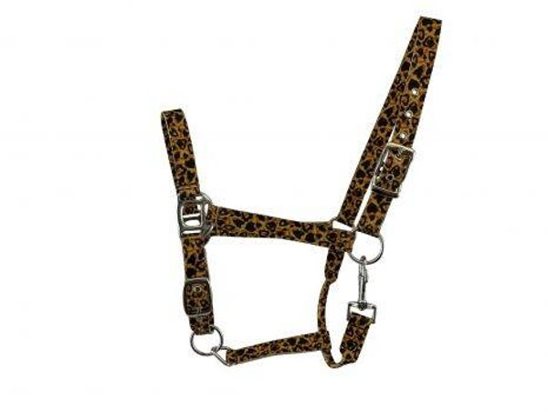 halster cheetah cob (642)