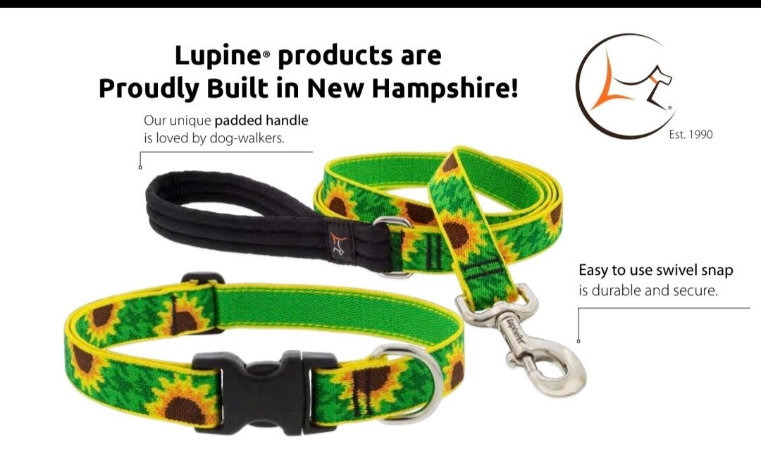 Leash, 6ft, Original