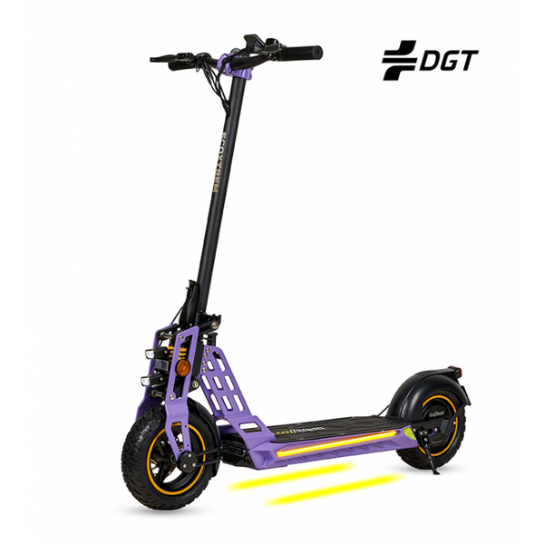 Patinete eléctrico Bison - DGT