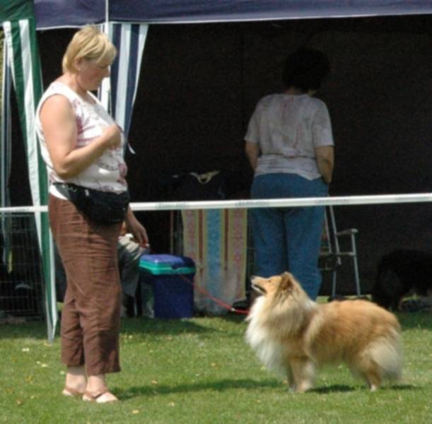 Busterboy tijdens de expo in Linden (gefotografeerd door Mevrouw Marina Feldhoff)