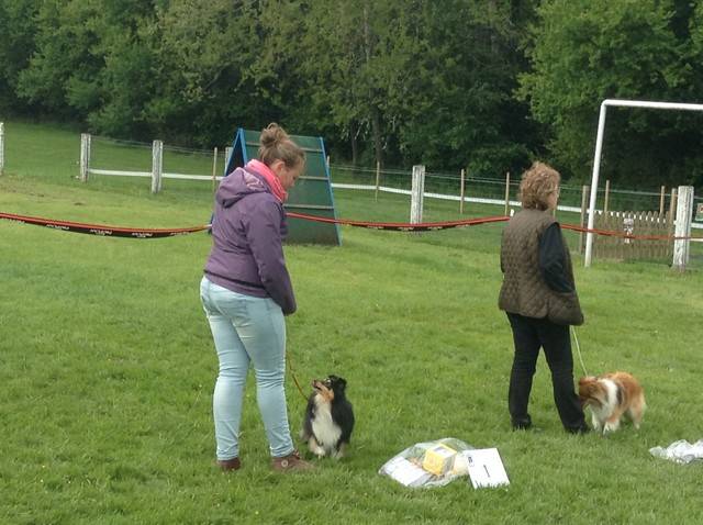 BSSC-show Gerpinnes 2013 (Judge: TRACY GARTLAND) Elien, onze kleindochter won met Jewel de Fokkersklasse