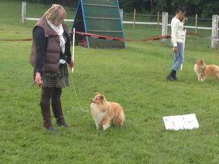 Kaylies behaalde het CAC en werd BOB