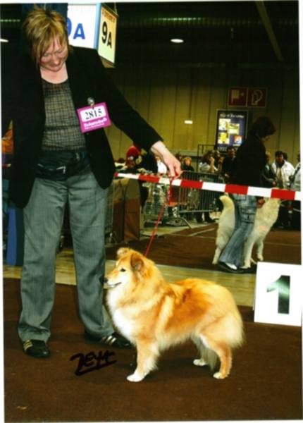 Guiny en haar nestbroer Gaico op de show in Luxemburg