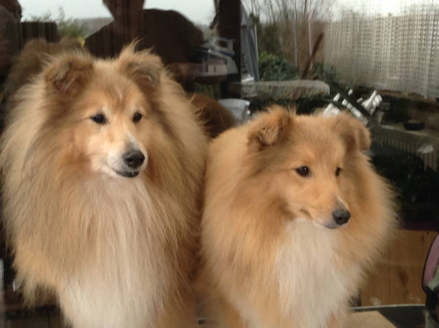 Kaylies met haar vader (Busterboy)