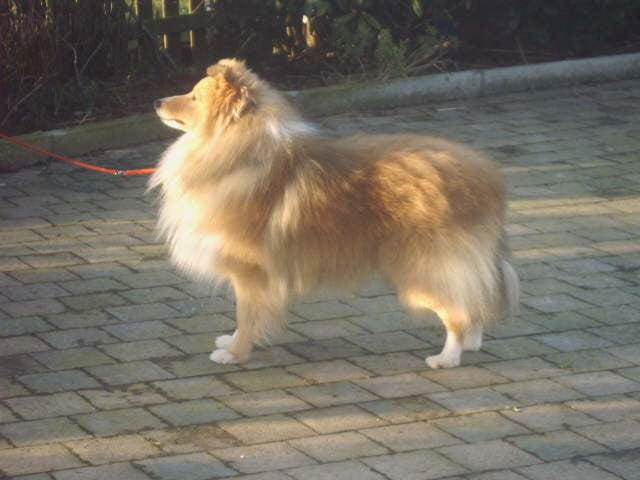 Busterboy ten Wijngaard