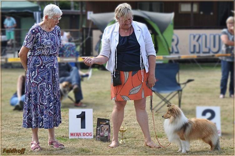 Show in Duitsland (Alsdorf) zomer 2016 Bailey won bij de reuen!