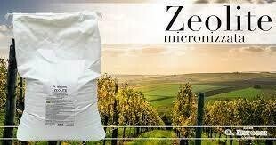 Zeolite 8 kg Bitossi