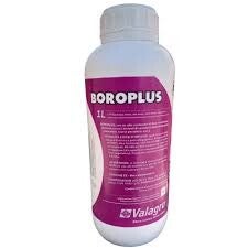 BOROPLUS 1 lt