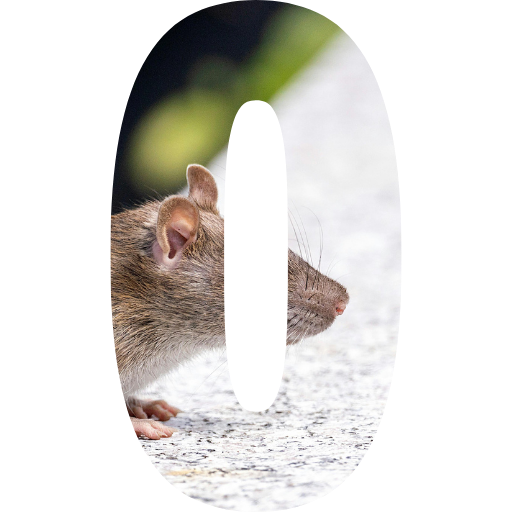 meilleur dératiseur en savoie