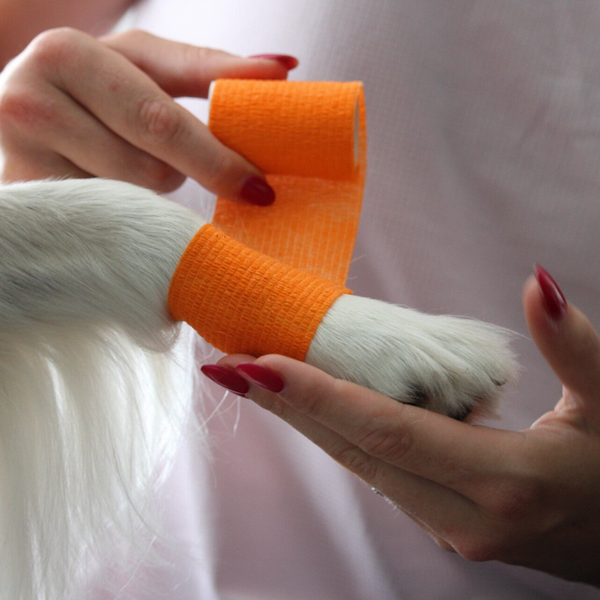 Self-adhesive bandage