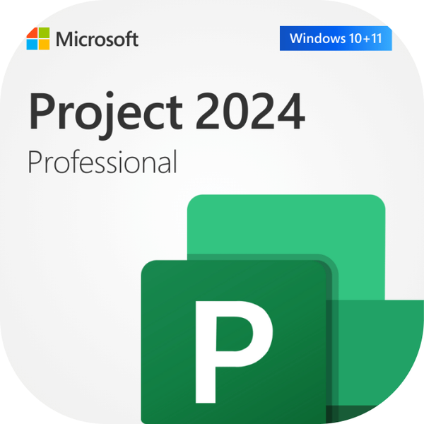 Project 2024 Professional LTSC