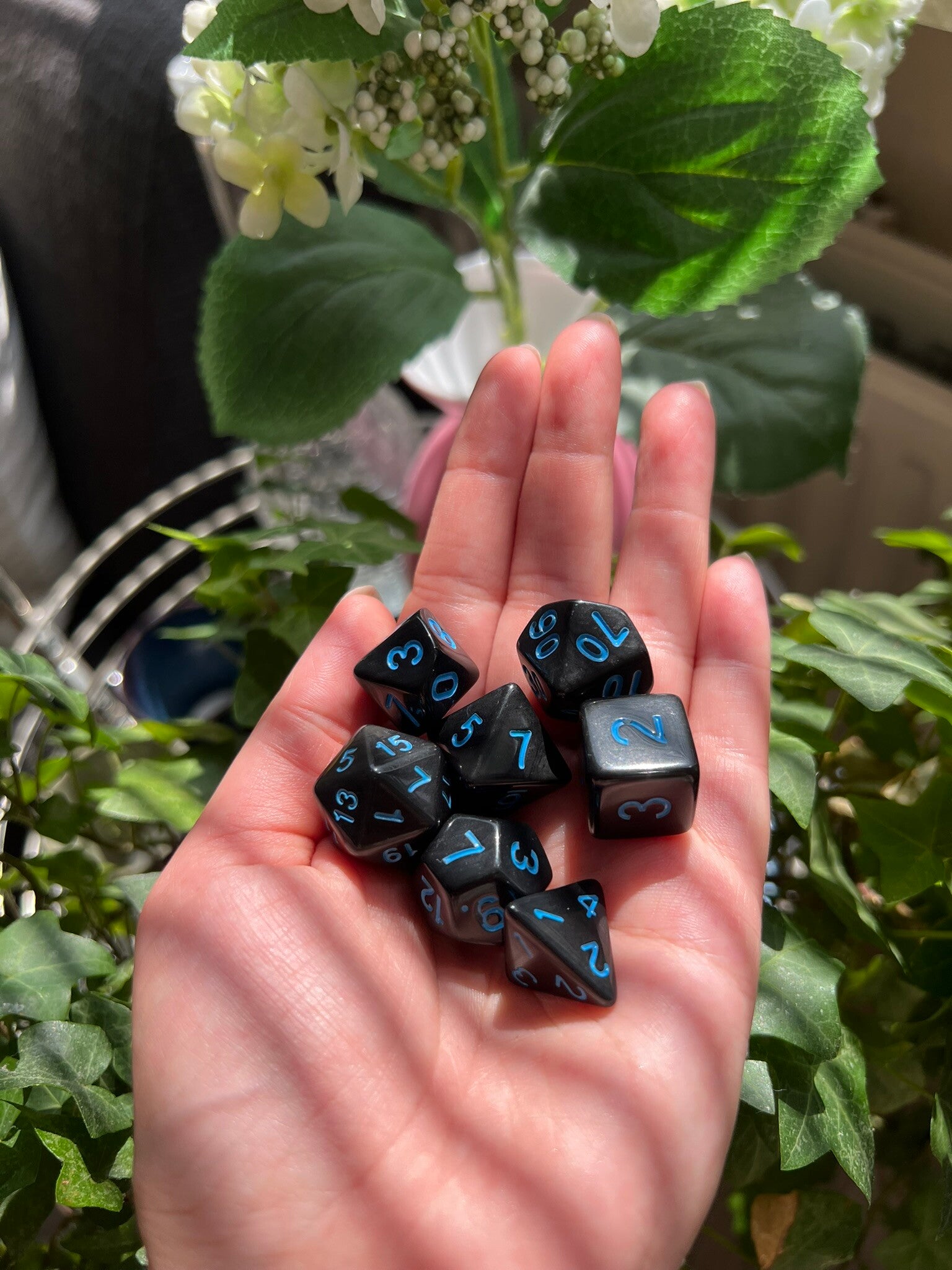 Zwartwater – Dice Set