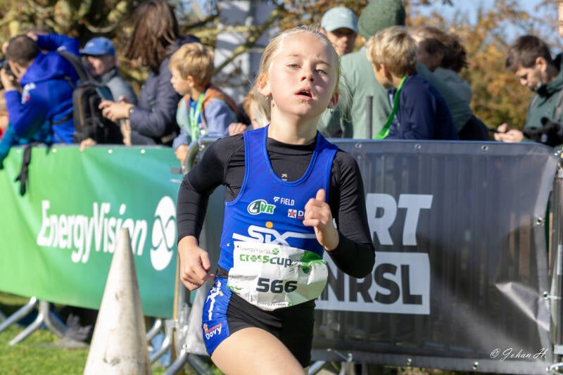 _v1a0090-standard.jpg