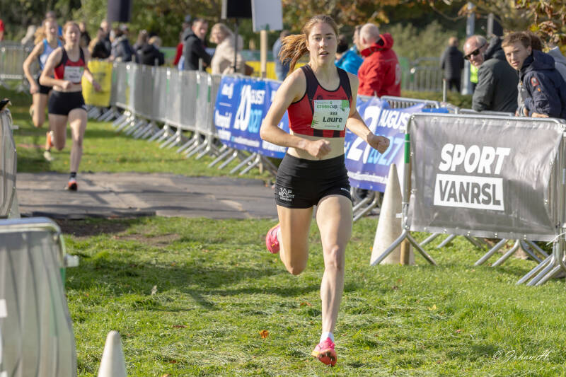 _v1a1642-standard.jpg