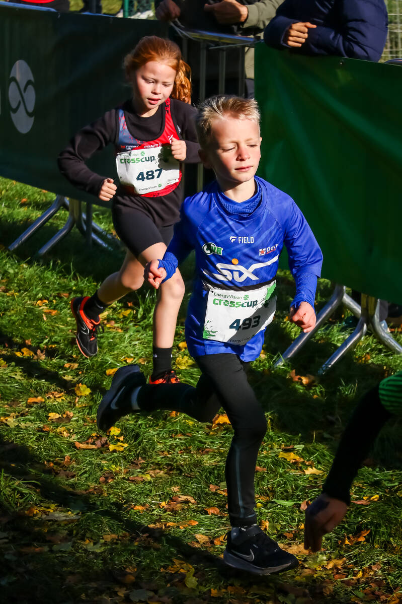 crosscuproeselare-179-standard.jpg