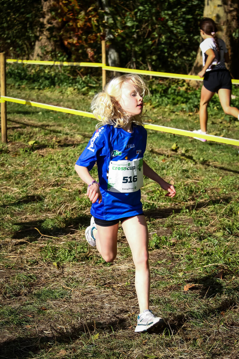 crosscuproeselare-184-standard.jpg