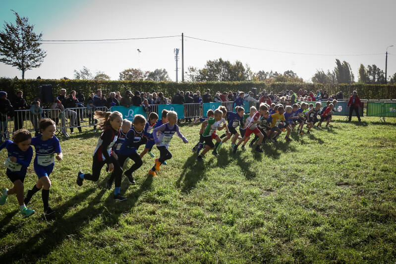crosscuproeselare-187-standard.jpg
