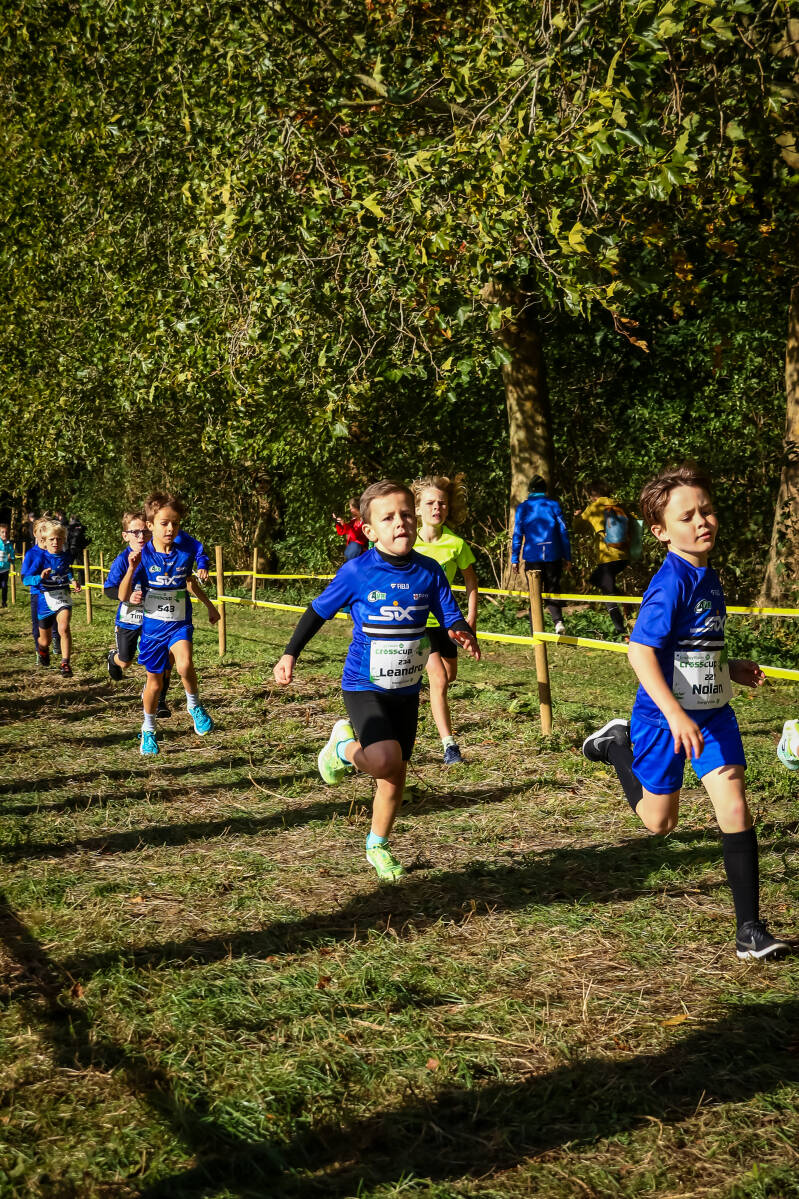 crosscuproeselare-189-standard.jpg